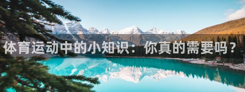 3377体育在线