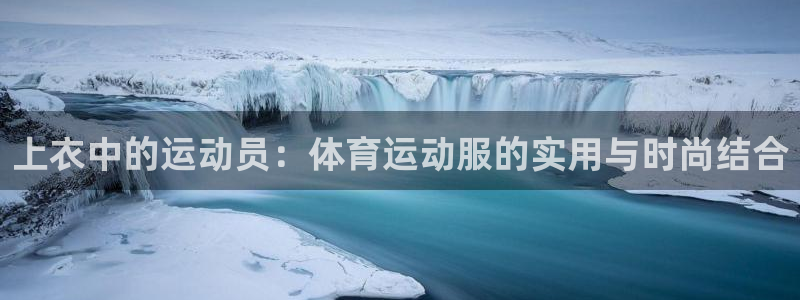 3377体育官网入口网页版