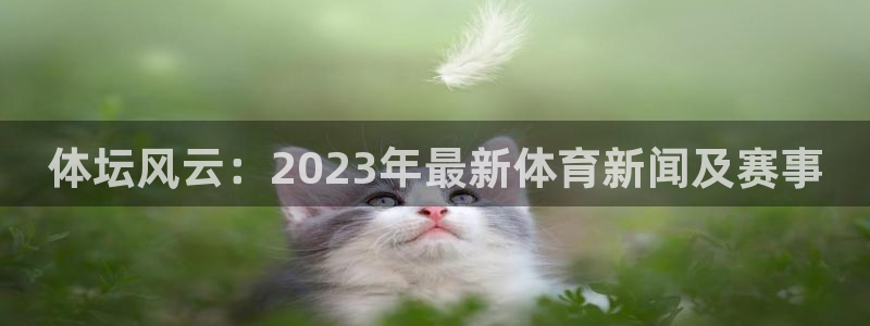 3377体育官网