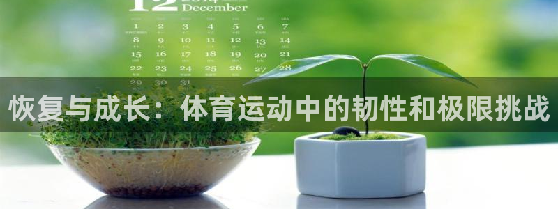3377体育app官方下载