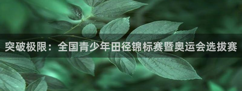 3377体育：突破极限：全国青少年田径锦标赛暨奥运会选拔赛