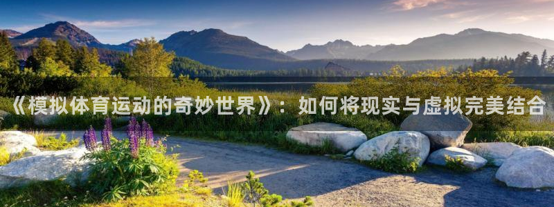 3377体育中国官方网站入口：《模拟体育运动的奇妙世界》：如何将现实与虚拟完美结合