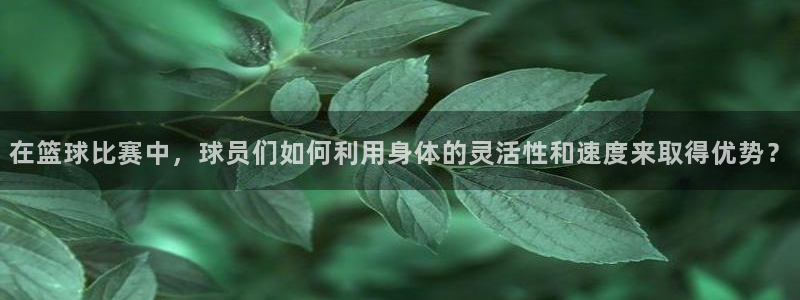 3377体育手机平台：在篮球比赛中，球员们如何利用身体的灵活性和速度来取得优势？