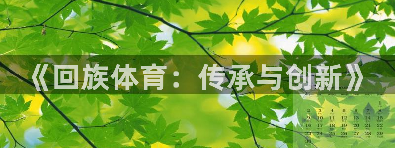 3377体育靠谱吗：《回族体育：传承与创新》