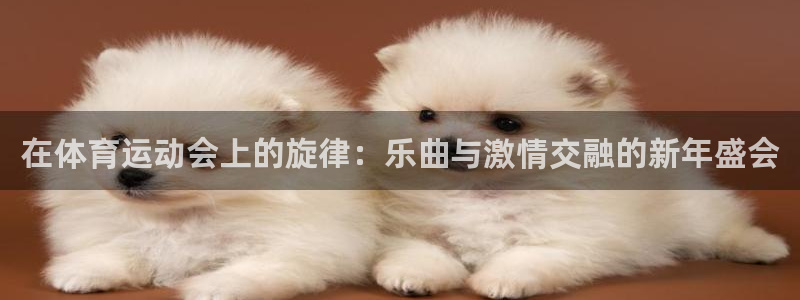 3377体育手机平台
