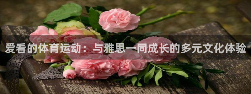 3377体育app官方下载