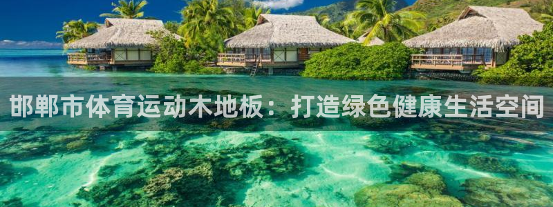 3377体育app下载安装